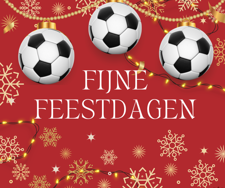 Fijne Feestdagen 🎄✨